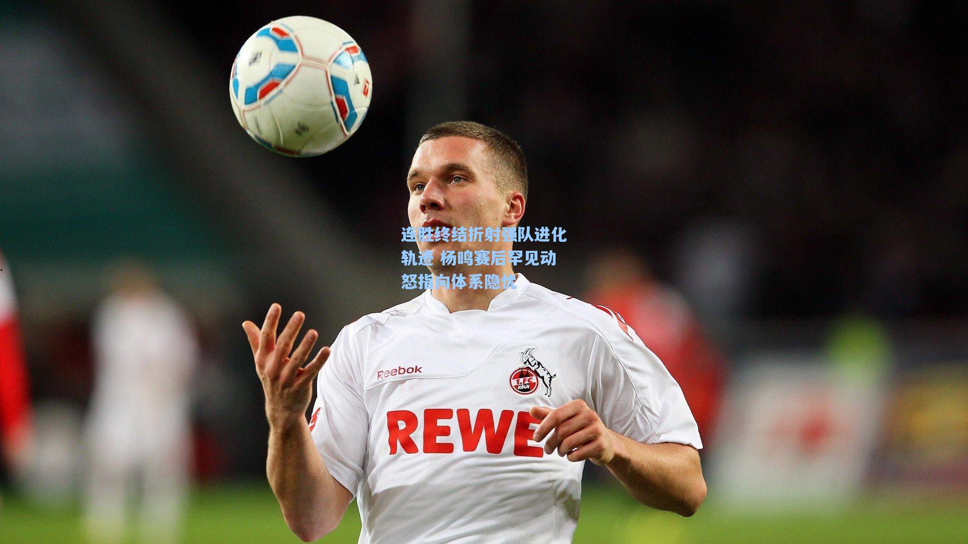 彩经网官网首页：连胜终结折射强队进化轨迹 杨鸣赛后罕见动怒指向体系隐忧